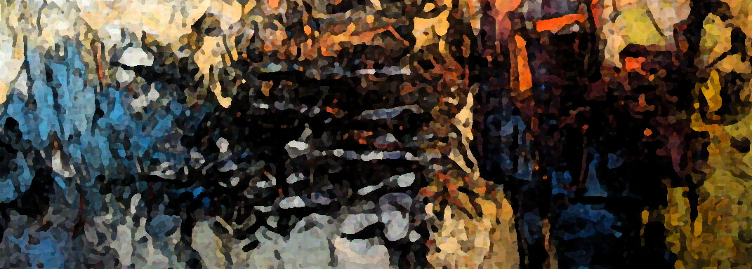 Pic_you are my sunshine